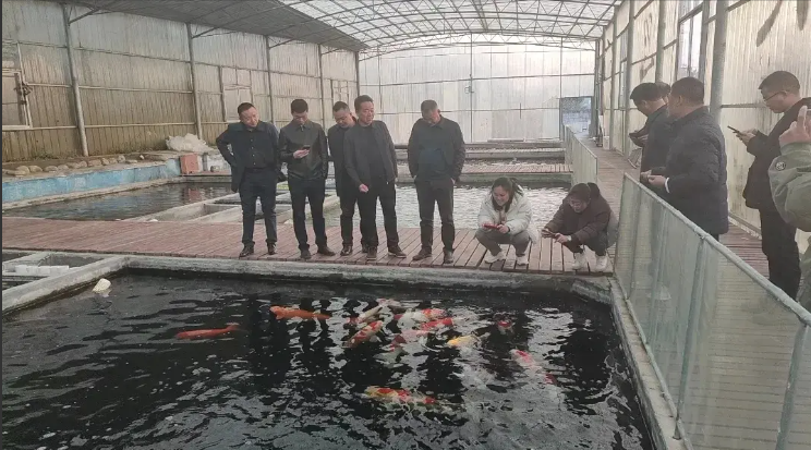 柳吉鱼庄“孝文化”成为湖南省湖湘家风文化馆又一新基地，柳吉鱼庄“孝文化被湖南省湖湘家风文化馆授予家风家教基地，(图1)